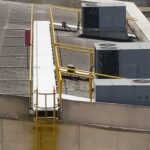 WhatsApp Image 2022-03-24 at 12.38.18 PM (3)